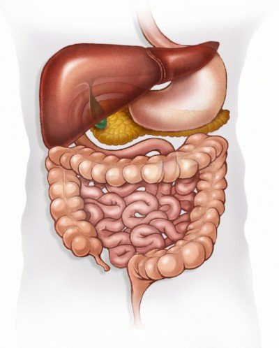 Đôi điều về chẩn đoán - điều trị các bệnh đường Tiêu Hóa